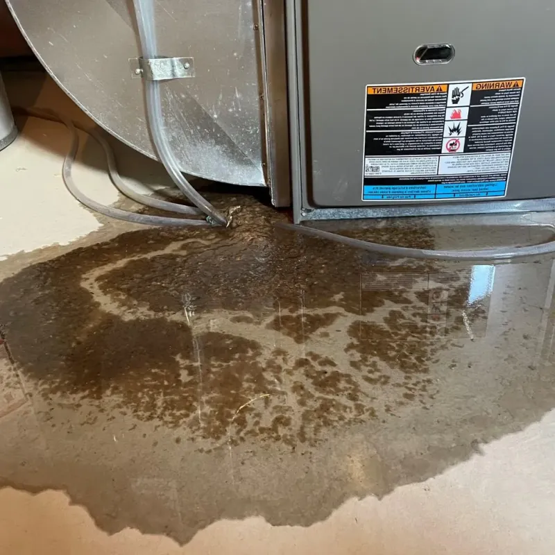 Pipe Burst and Leak Restoration in Baden, MD